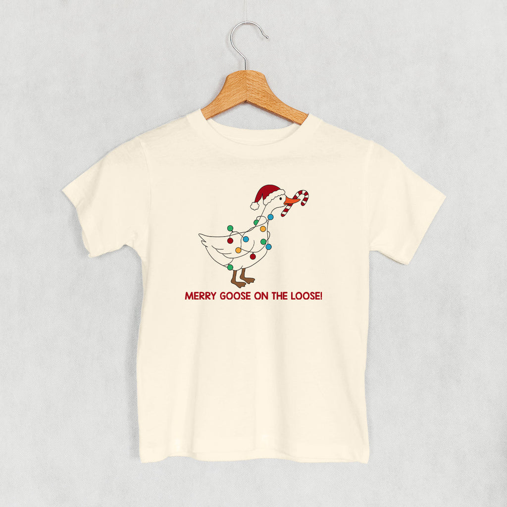 Merry Goose On The Loose (Kids)