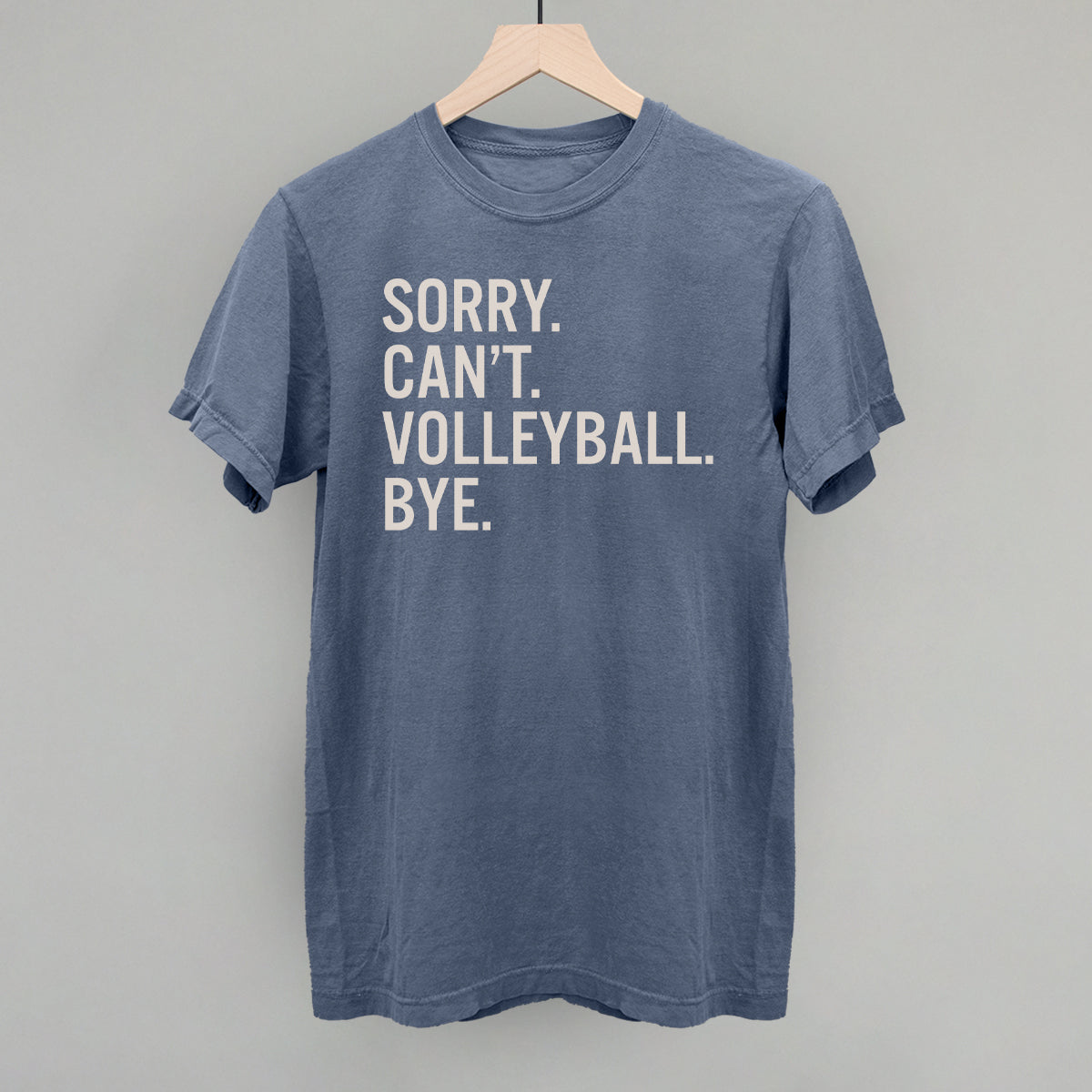 Sorry Can't Volleyball Bye