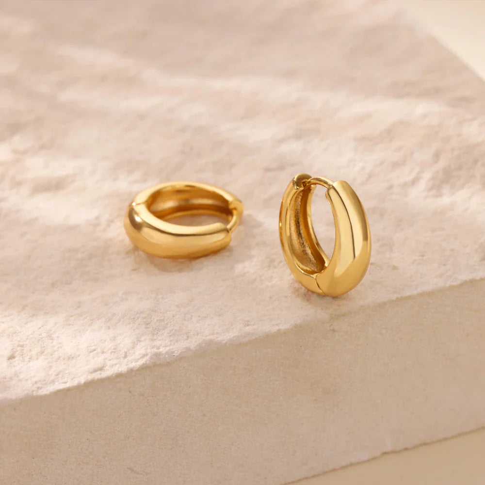 Classic Hoop Earrings for Women Chunky Stainless Steel Gold Color Earring 2025 Trend New in Minimalist Pendientes Jewelry aretes