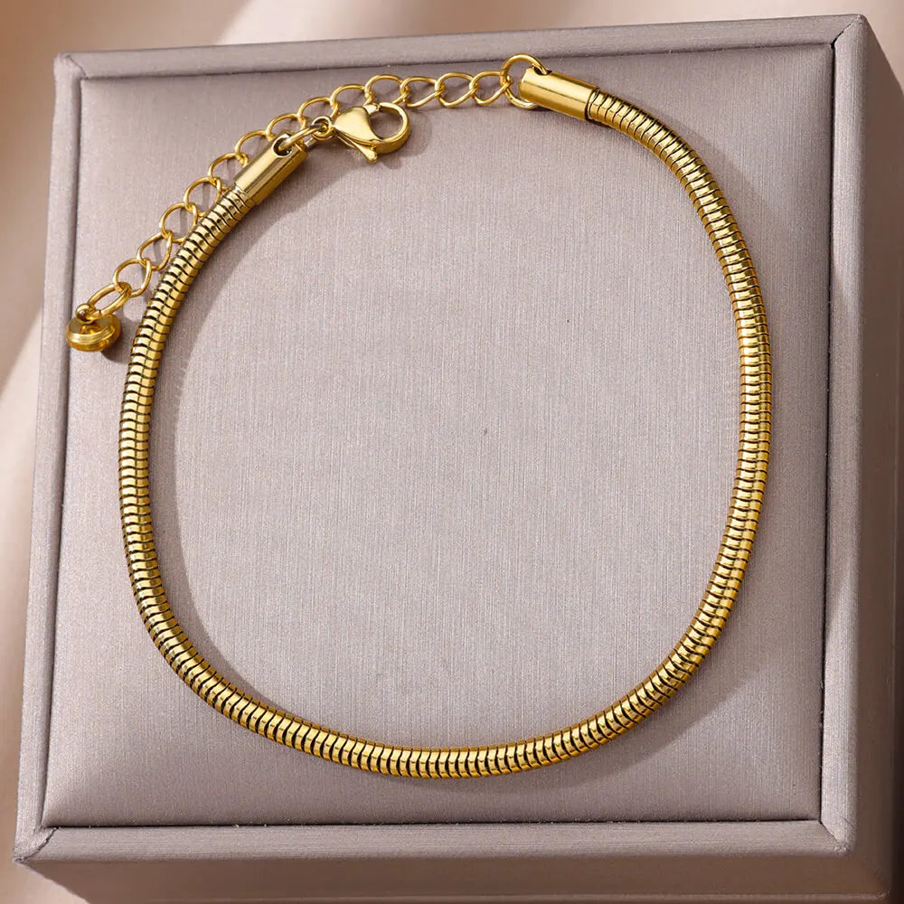 Zircon Circle Bead Anklets For Women Gold Color Stainless Steel Anklet Double Snake Chain Summer Beach Accessories Jewelry Gift