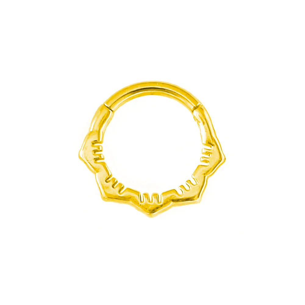 Flowers Nose Ring Septum 100% 316L Surgical Steel Zircon Clicker Daith Piercing Ear Cartilage Helix Hoop Flowers Water Drops