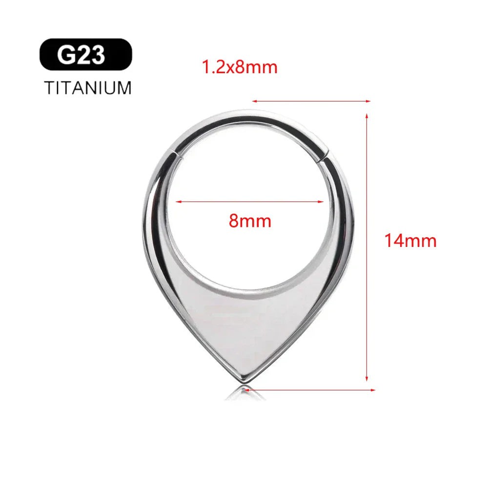G23 Titanium Bee Septum Nose Ring Piercing Body Jewelry 16G Moon Segment Snake Clicker Helix  Ear Cartilage Heart Daith Hoop