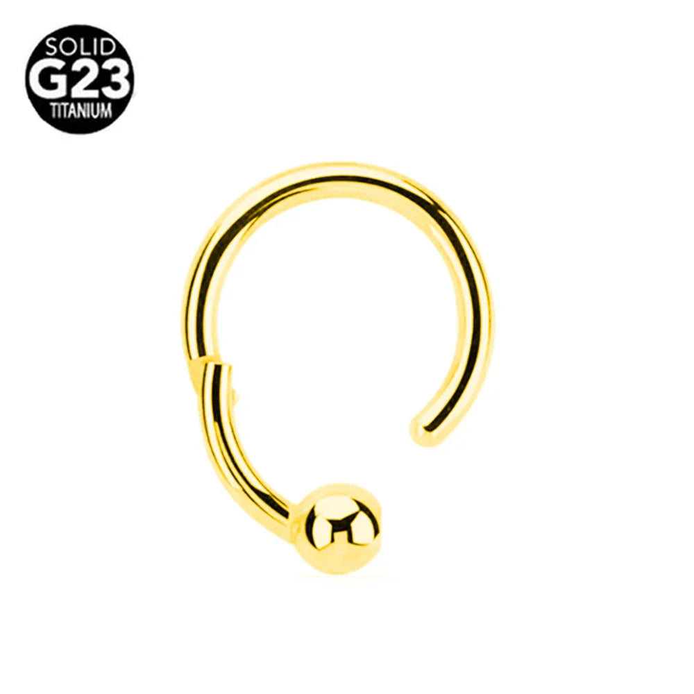 G23 Titanium Bee Septum Nose Ring Piercing Body Jewelry 16G Moon Segment Snake Clicker Helix  Ear Cartilage Heart Daith Hoop
