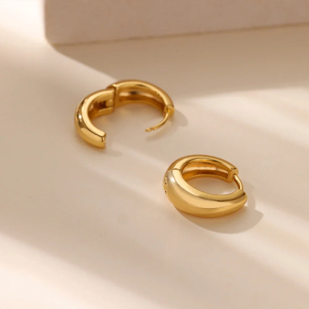 Classic Hoop Earrings for Women Chunky Stainless Steel Gold Color Earring 2025 Trend New in Minimalist Pendientes Jewelry aretes