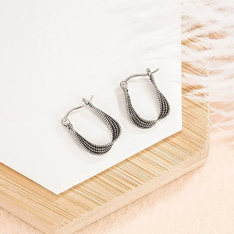 925 Sterling Silver Fried Dough Twists Engagement Stud Earrings For Women Elegant Wedding Luxury Jewelry Accessories Argent 925