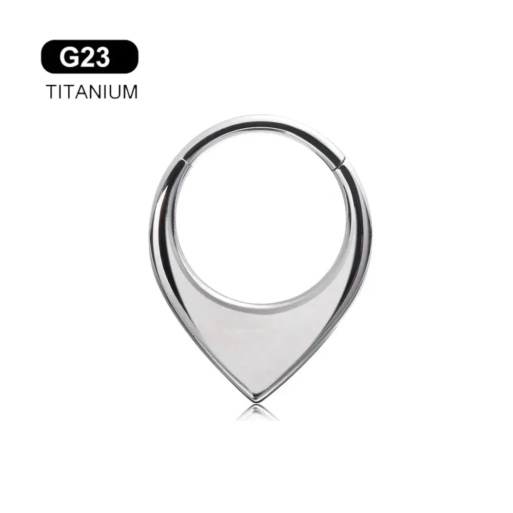 G23 Titanium Bee Septum Nose Ring Piercing Body Jewelry 16G Moon Segment Snake Clicker Helix  Ear Cartilage Heart Daith Hoop