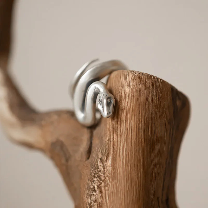 925 Sterling Silver Snake Frosted Adjustable Rings For Women Engagement Jewelry Accessories Wholesale Money 925 Jewellery