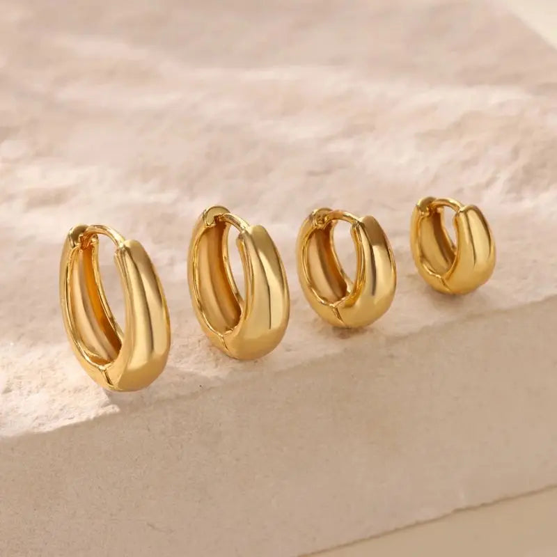 Classic Hoop Earrings for Women Chunky Stainless Steel Gold Color Earring 2025 Trend New in Minimalist Pendientes Jewelry aretes