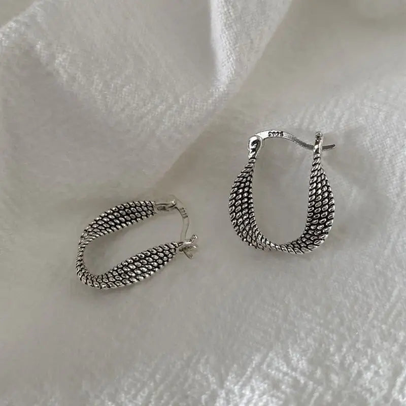 925 Sterling Silver Fried Dough Twists Engagement Stud Earrings For Women Elegant Wedding Luxury Jewelry Accessories Argent 925